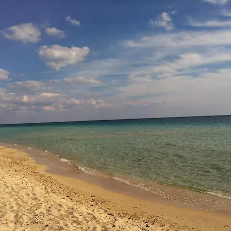 Bed & Breakfast Palazzo Delle Viole 3*