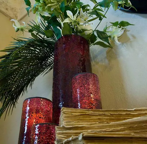 Palazzo Delle Viole فندق مبيت وإفطار 3*